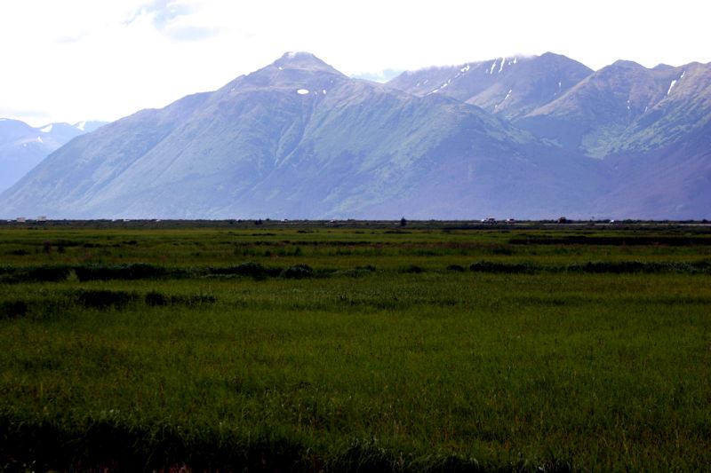 070404 Hope Hatcher Montana Creek (10056)